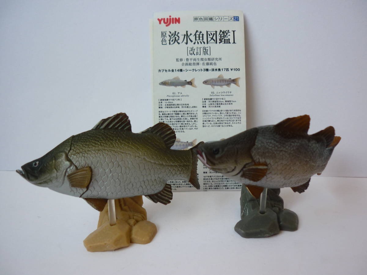 原色淡水魚図鑑 アカメ セット フィギュア 川魚 ユージン Yujin(生き物 