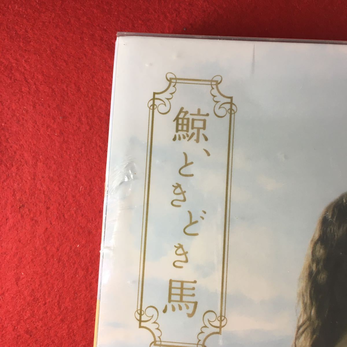 187 【2枚組】 新品 足立梨花 鯨、ときどき馬 PCBE-53048 ケース少し