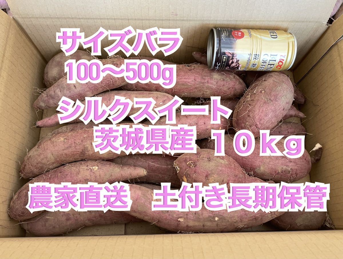 土付き　シルクスイート　サイズ形バラバラS〜L(約100〜500g) 10kg さつまいも 茨城県産　10キロ　長期保管向け　農家直送