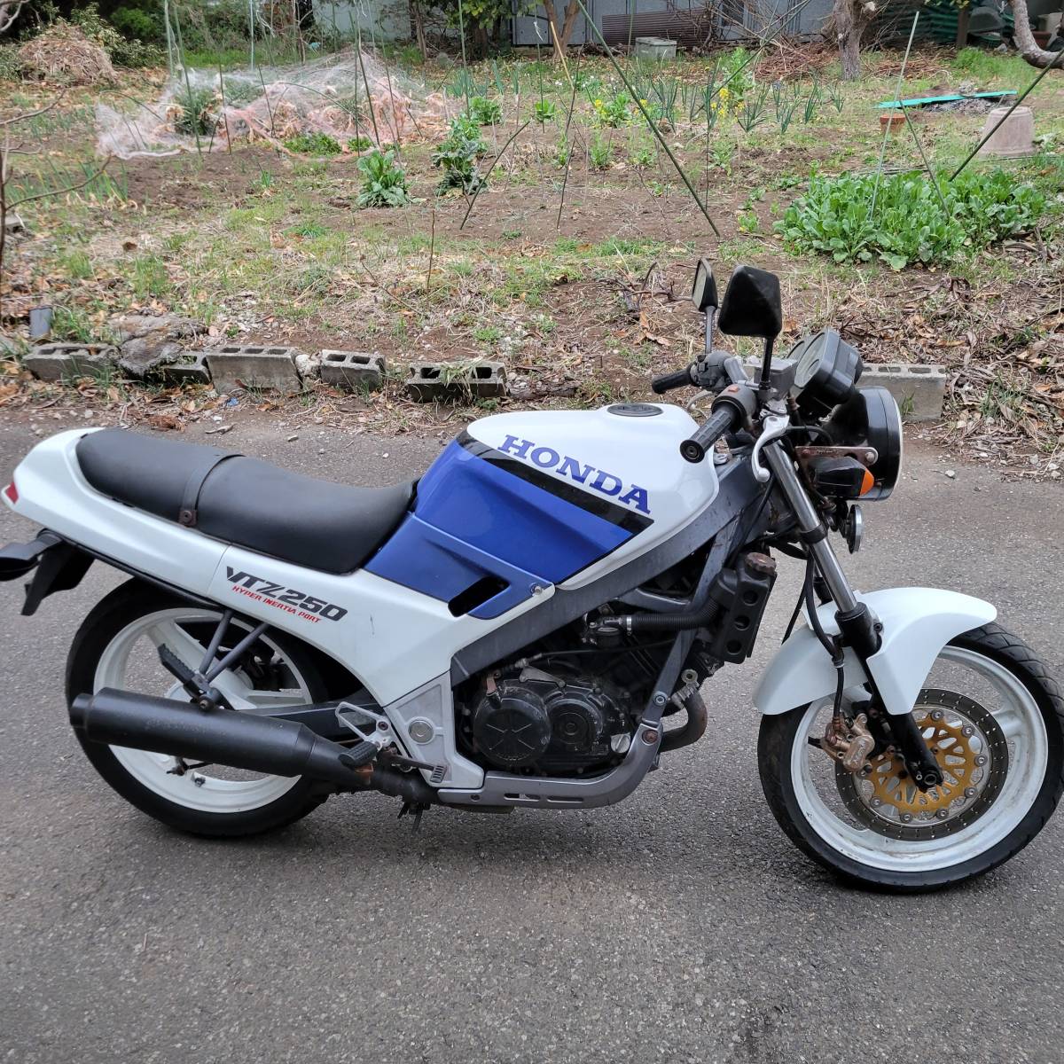 ホンダ VTZ250 実働車 エンジン好調 MC15 VT250 スパーダ VTR250 