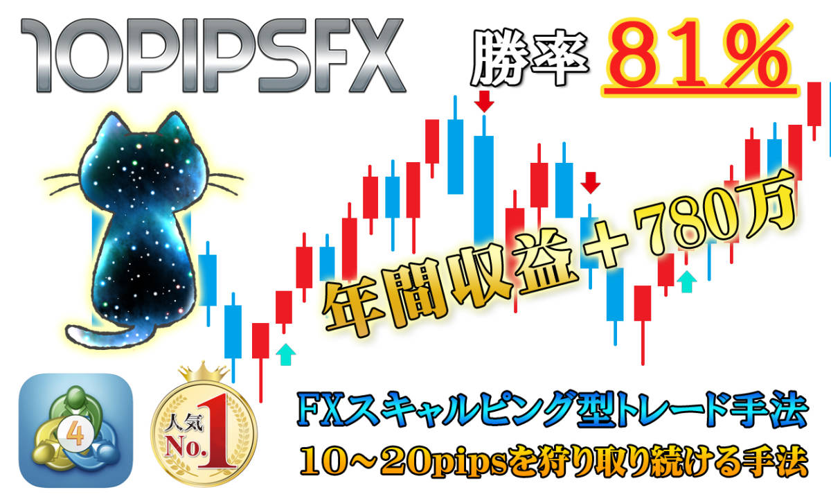 10pipsを狩り続ける!【10pipsFX】 FX トレード手法 MT4 年間利益780万円 スキャルピング デイトレード シグナルツール  サインツール 必勝法 10pipsを狩り続ける!10pipsFX FX トレード手法 MT4 年間利益780万