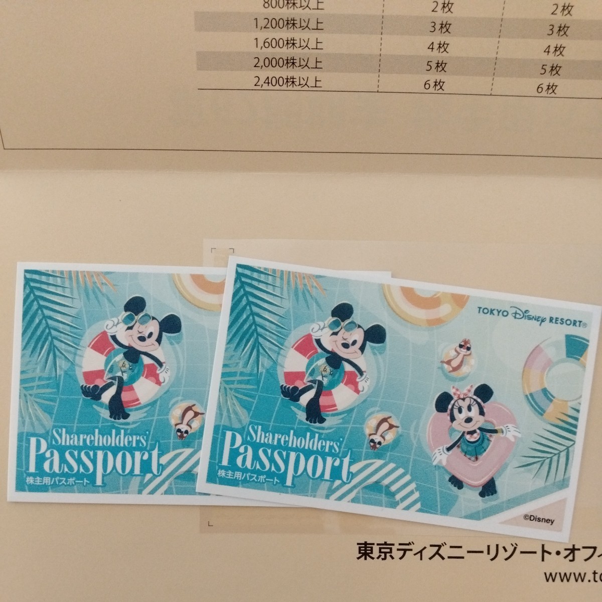 ディズニーランドチケット 大人2名 Disney - 首都圏ウィークデー 