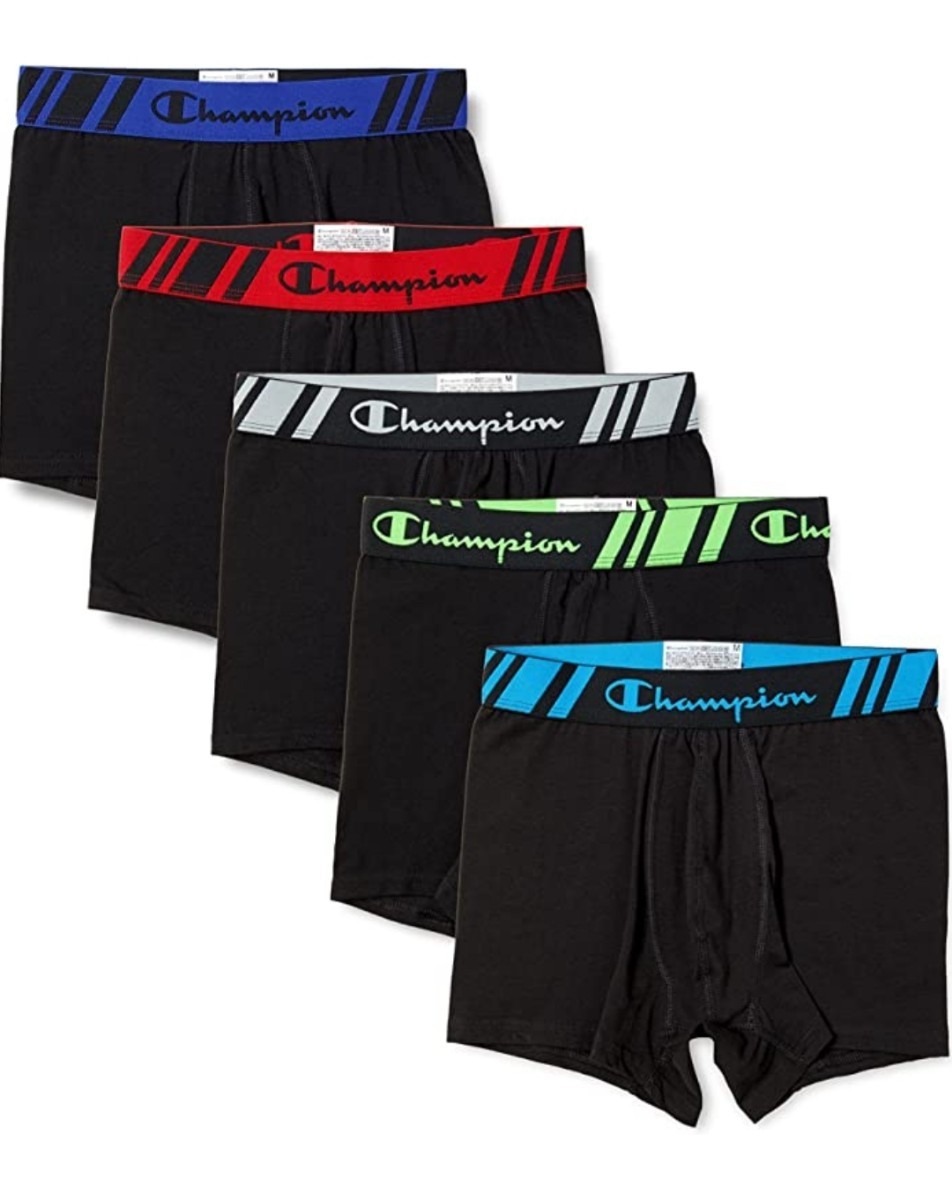 チャンピオン ボクサーパンツ 5枚組 抗菌 ボクサーブリーフ メンズ Lサイズ