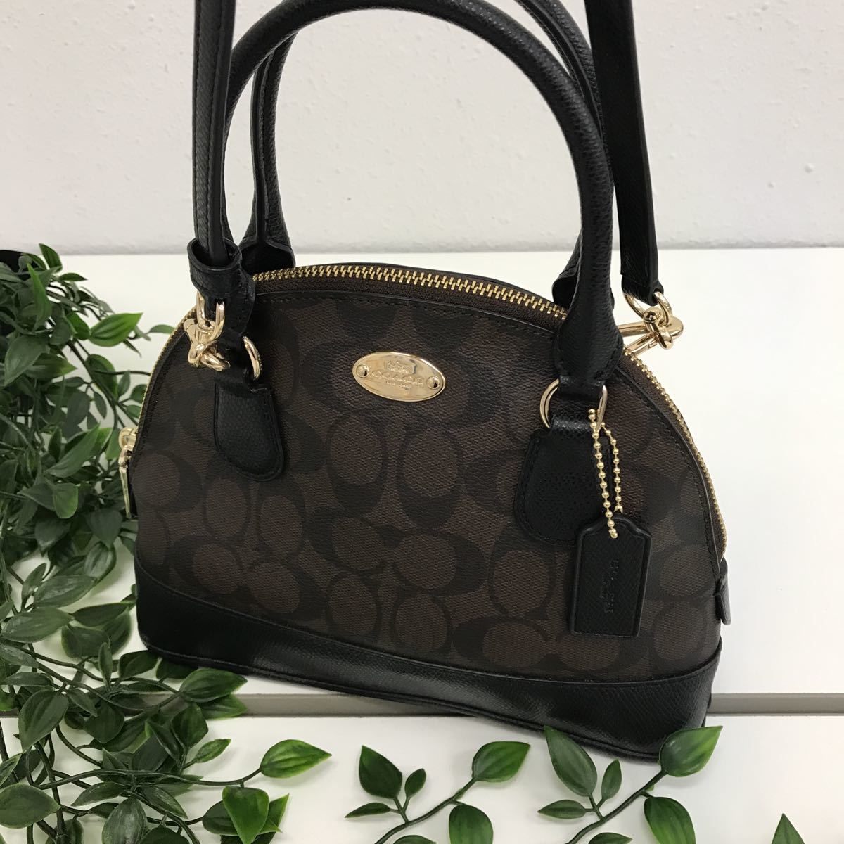 5841-3】コーチ COACH シグネチャー ミニブガッティ 2wayバッグ 型