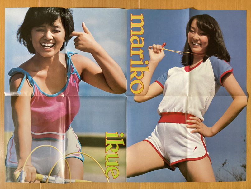 ⭐︎榊原郁恵 グラビアパネルポスター⭐︎当時もの③ 気軽
