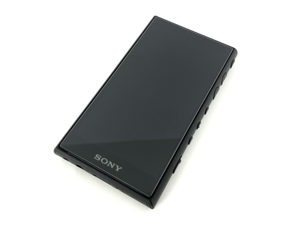 SONY NW-A100Series NW-A106 WALKMAN ウォークマン ソニー オーディオ