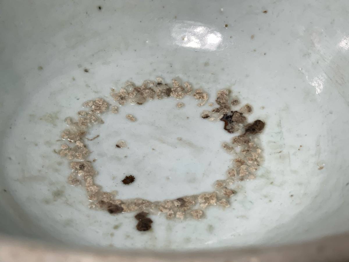 李朝 白磁茶碗 茶道具 抹茶器 抹茶道具 茶懐石 茶事 茶の湯 茶碗 夏 