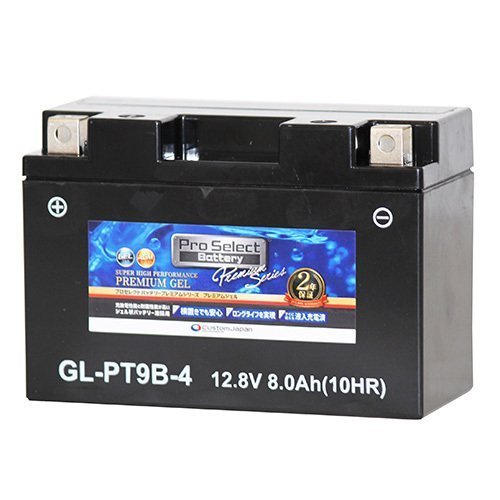バイク バッテリー マジェスティ XP500 TMAX /Pro Select Battery GL-PT9B-4(GT9B-4互換)(ジェルタイプ 液入充電済) バイク バッテリー XP500 安心セット マジェスティ250 -