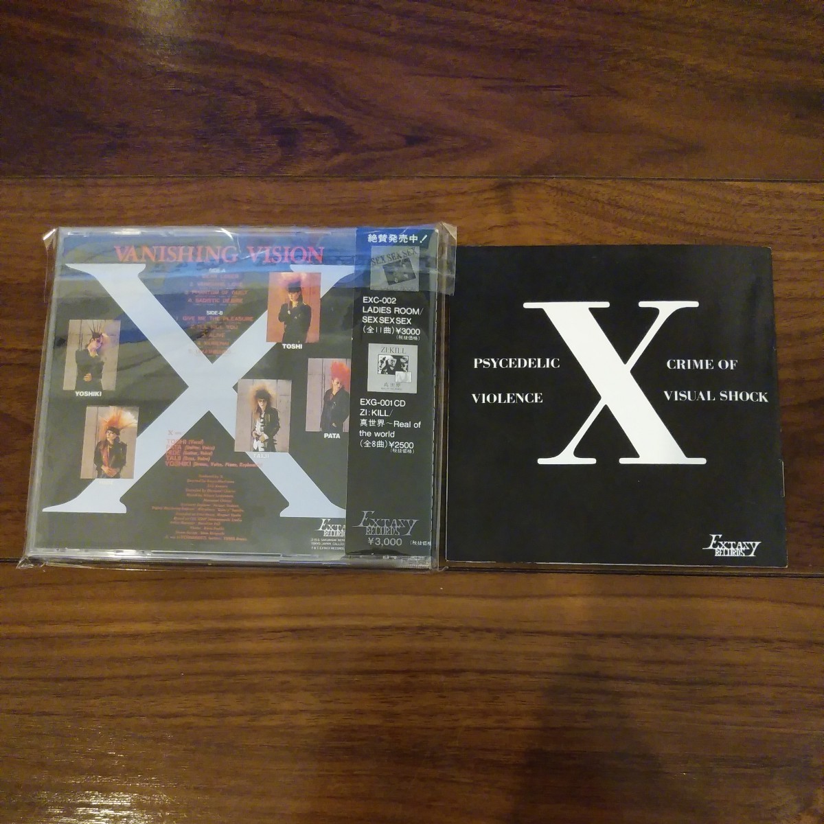 X VANISHING VISION プライベートフォトブック付き 送料無料】X JAPAN CDアルバム VANISHING VISION Private Photo Book