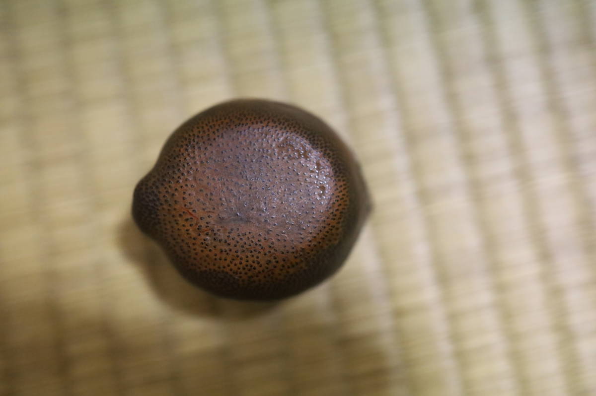 唐物 古竹彫水滴 中国美術 ☆文房具書道具 細工彫 文房四宝 水滴