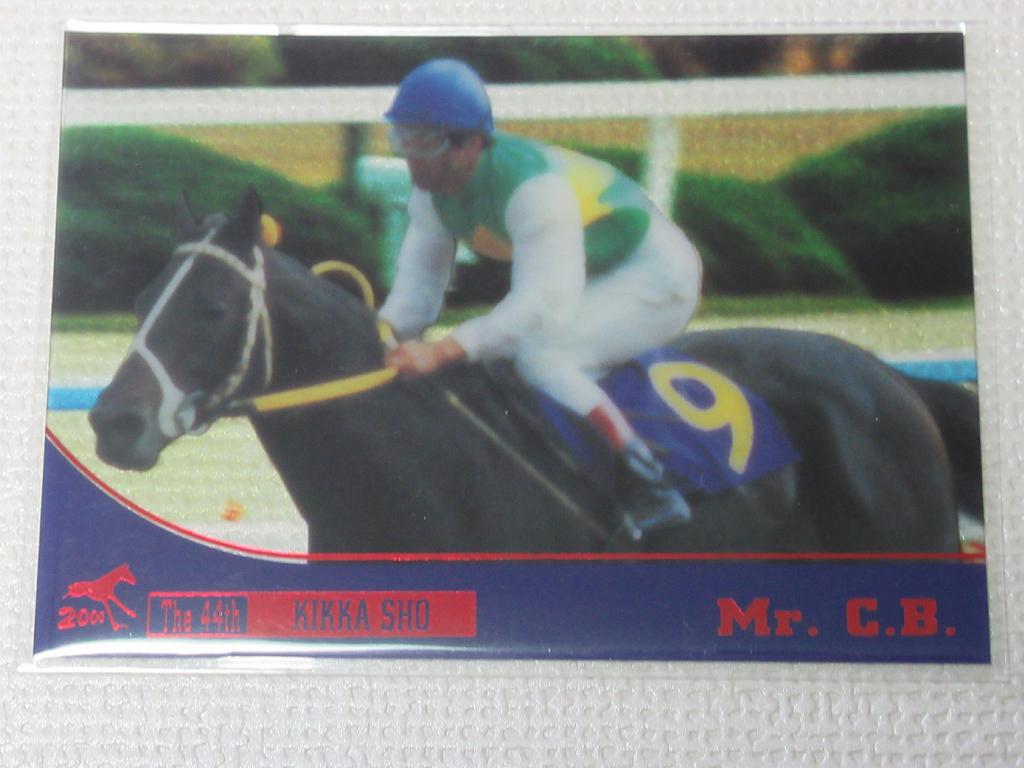 競馬トレーディングカードセット　名馬列伝 ○THE GRADE ONE DREAM HORSES 2000「20世紀の名馬」抽選プレゼント