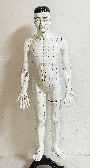 ◎経穴人形 鍼灸 ツボ 人体模型 坂本モデル 94センチ◎ : モデル ツボ