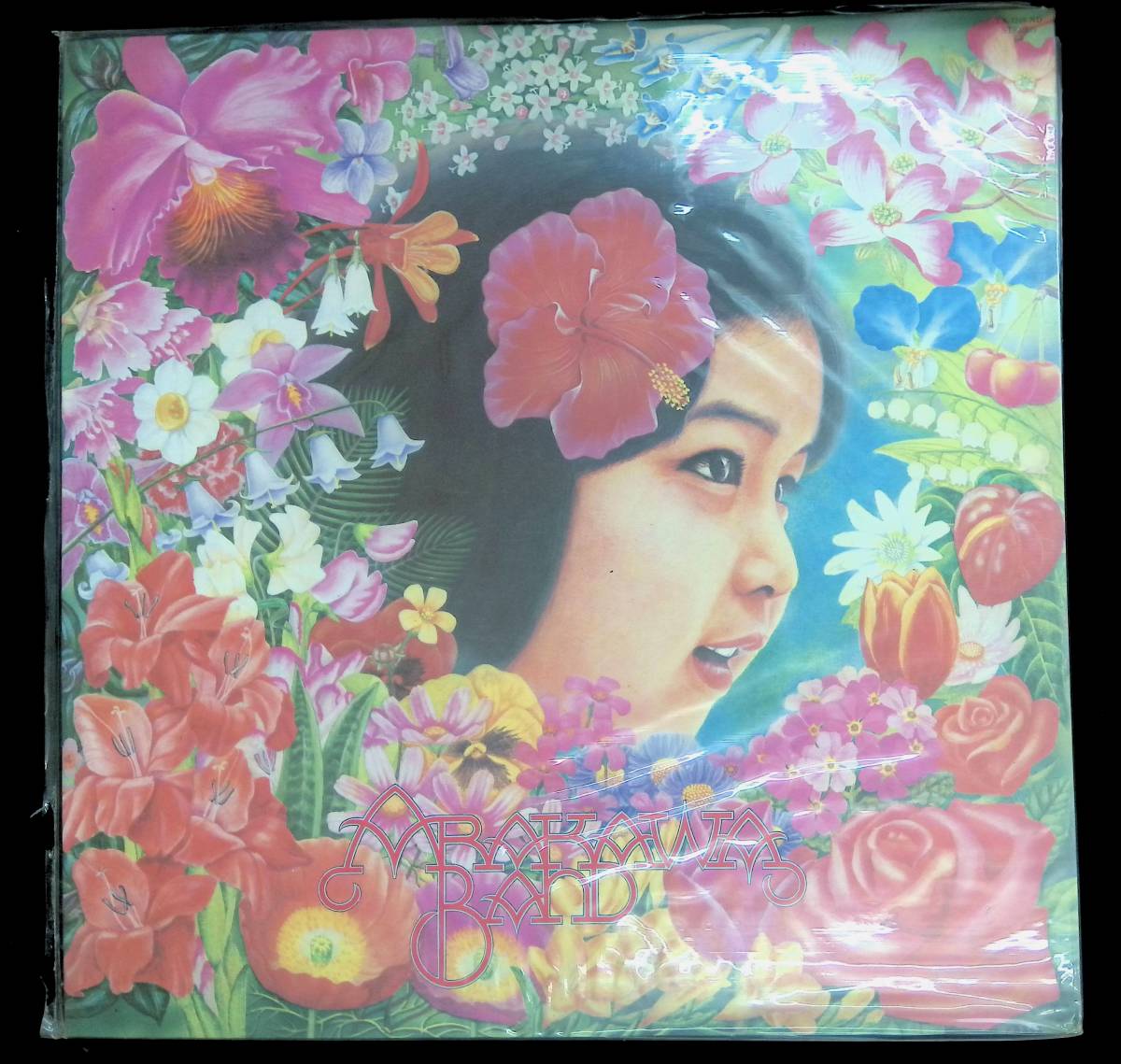 LP レコード ARAKAWA BAND LENA 荒川バンド レナ YL94 16 ケースに