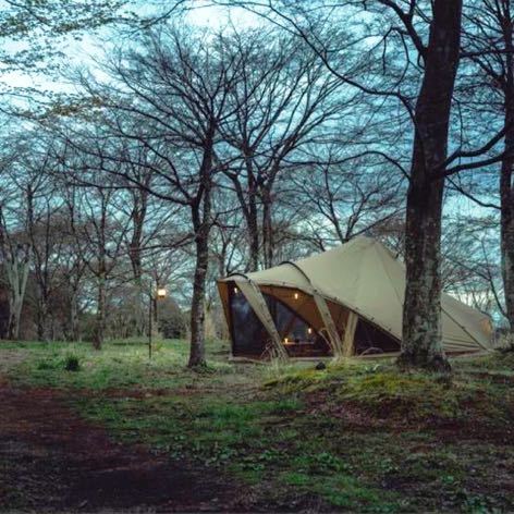 新品未使用　ゼインアーツ　ロロ 　zanearts LOLO