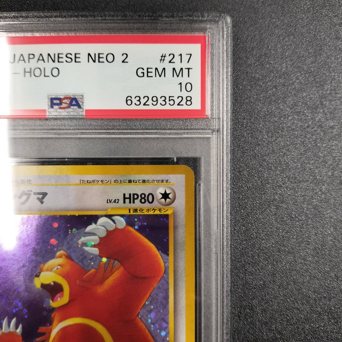1円スタート】リングマ PSA10 neo 拡張パック第2弾 遺跡をこえて 