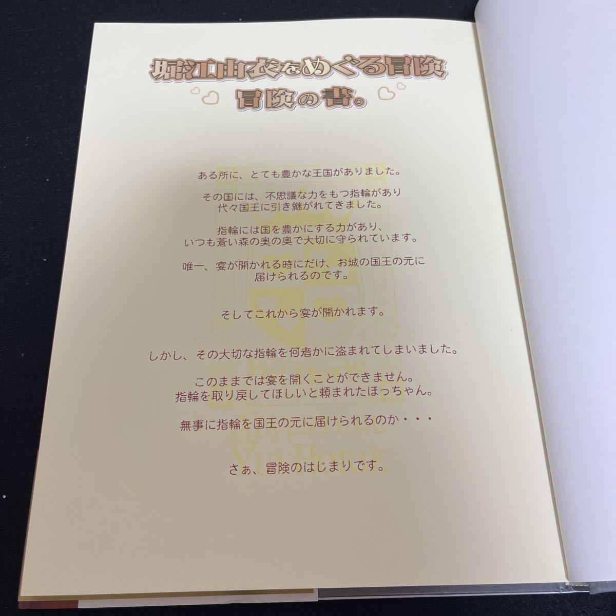 堀江由衣をめぐる冒険 冒険の書 2006年6月1日 伝説のツアーついに書籍