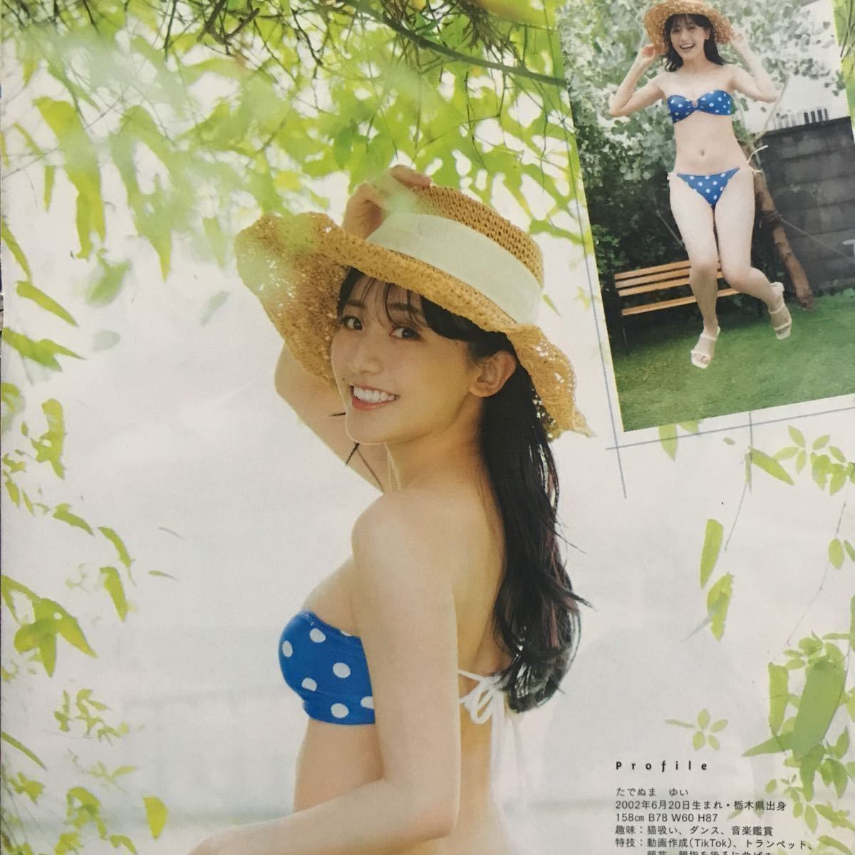 漫画アクション12号 桃月なしこ 蓼沼優衣 サイン入りチェキ応募用紙5枚 