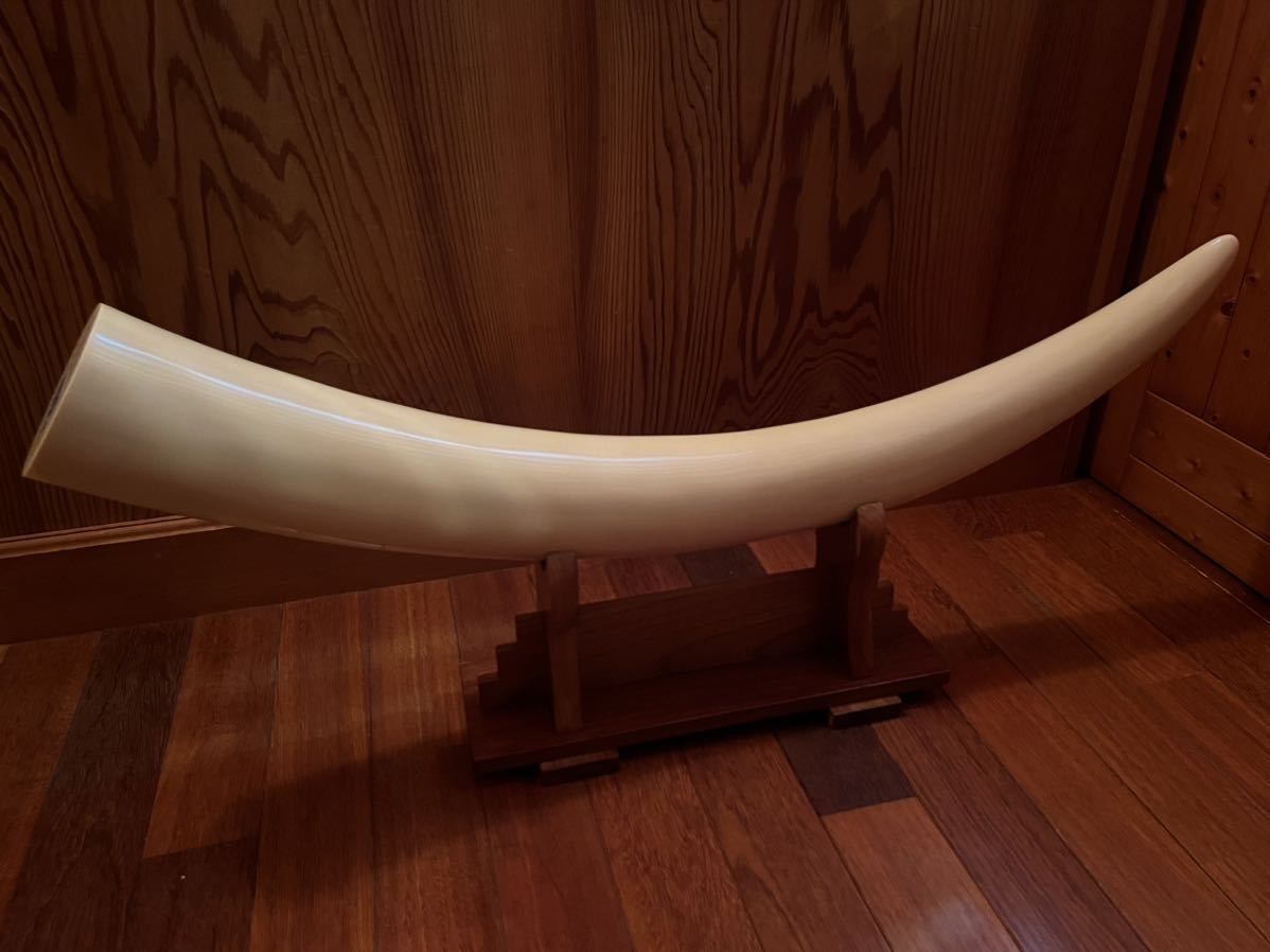 超極上品! 象牙風 一本物 一本牙 木製台座付き 置物 美品 （全長114cm 