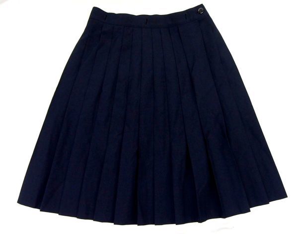 bw_2580 超大きいサイズ♪ 神奈川県 私立 湘南白百合学園高校 【女子校】 夏服 濃紺 プリーツスカート フランシスコ製