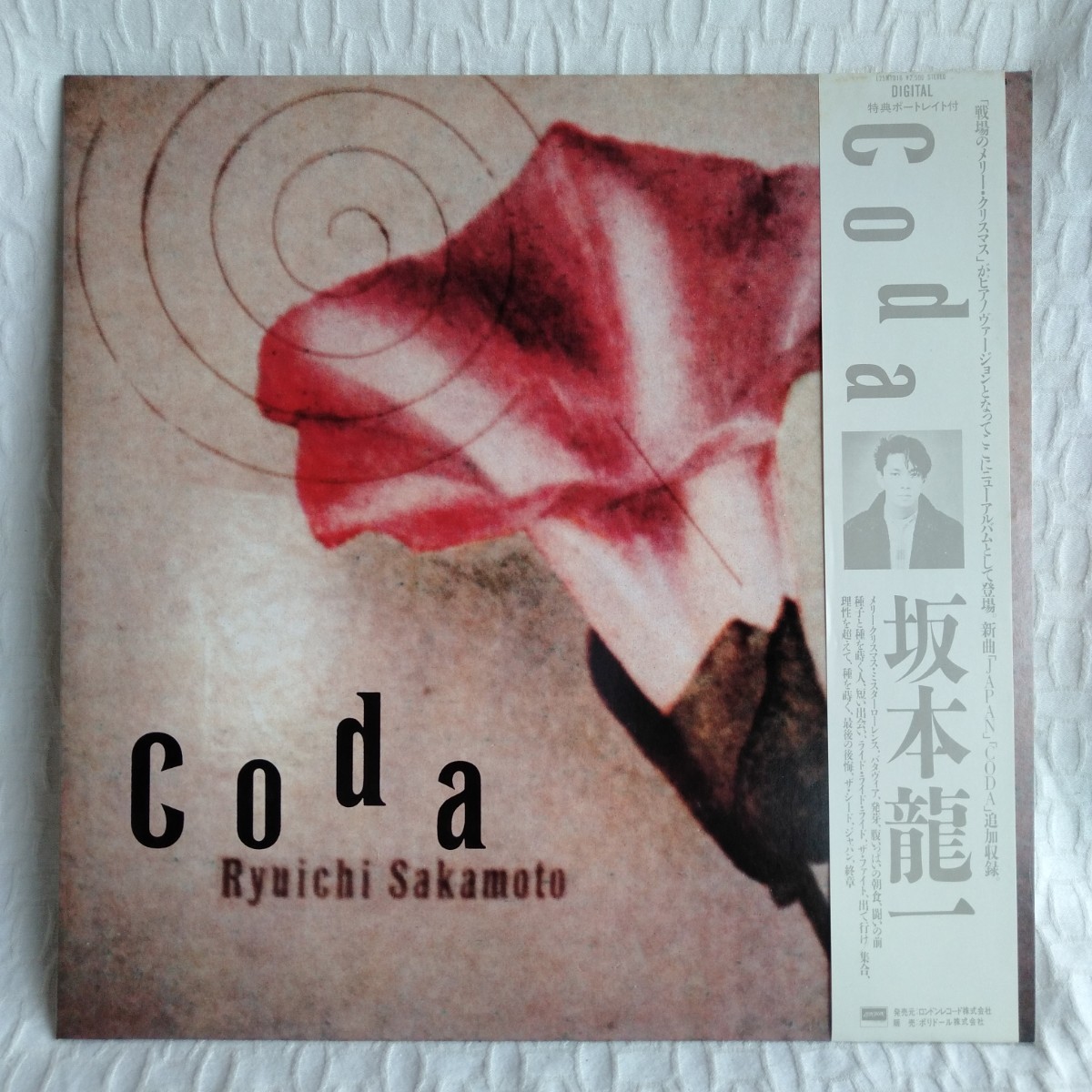 RUBEL フーベル / CASAS (LP) レコード