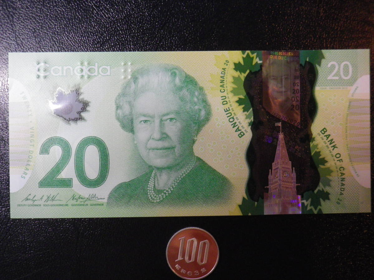 1975年 ホビー 2013年カナダドル20ドル蛇年純銀貨100枚卸売