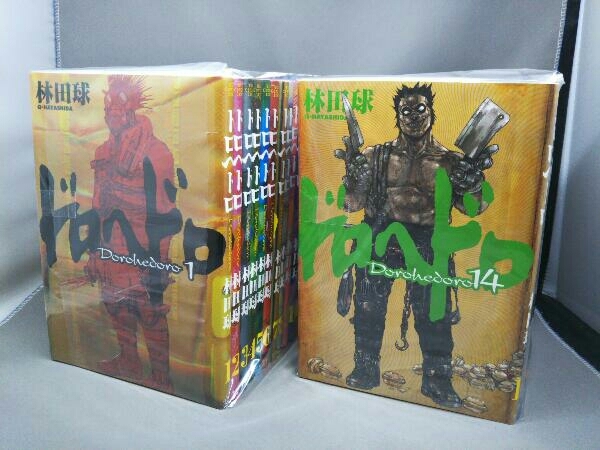 ドロヘドロ 林田球 | 全巻セット 1-23巻 小学館 (IKKI Kindle 青年