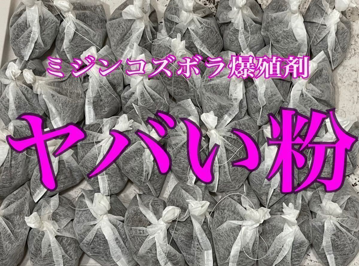 生クロレラ等不要【華めだか大阪】ミジンコズボラ爆殖剤 ヤバい粉★タマミジンコタイリクミジンコオオミジンコの繁殖♪10個セット
