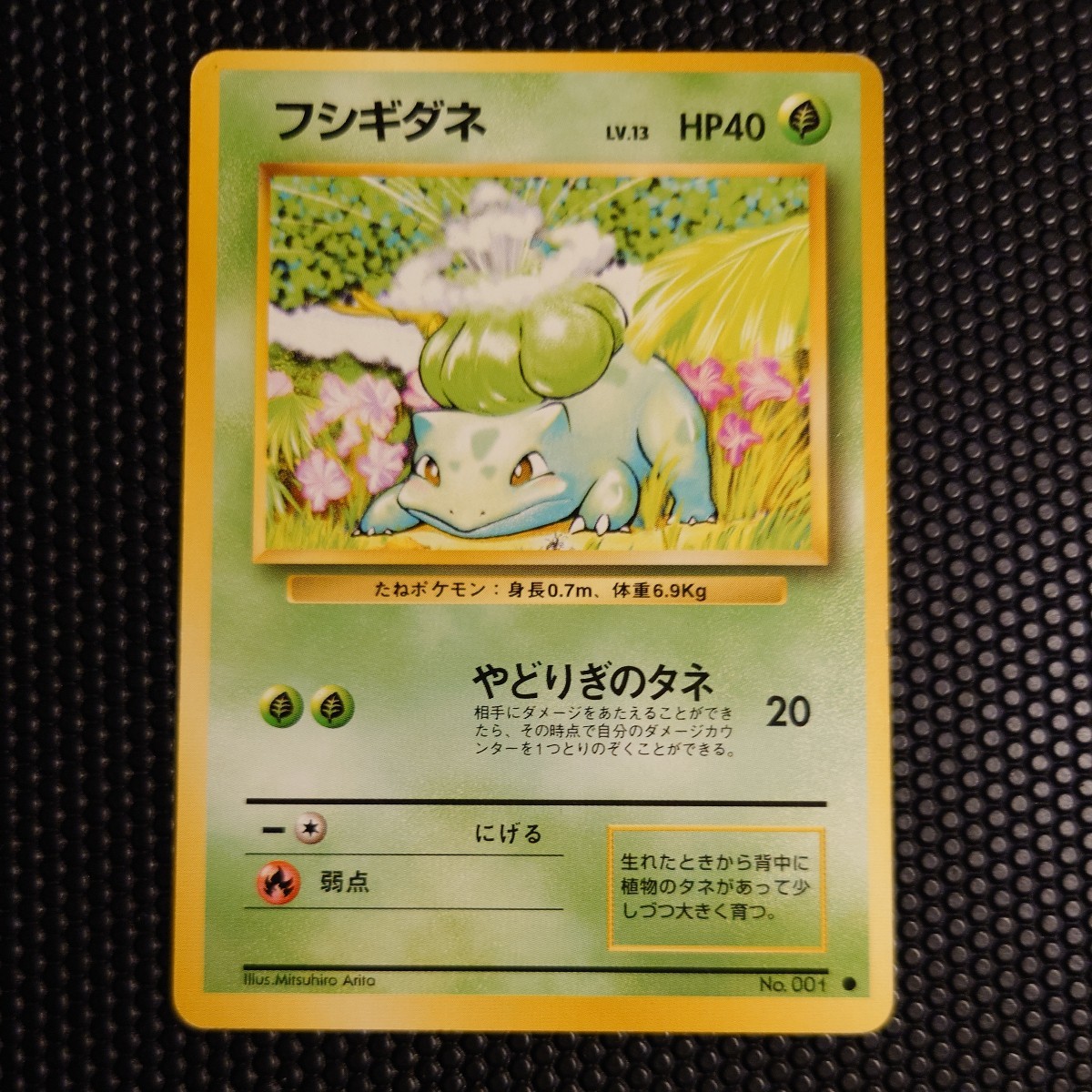 フシギダネ ○ ポケモンカード PMCG 第1弾スターターパック No.001 LV 
