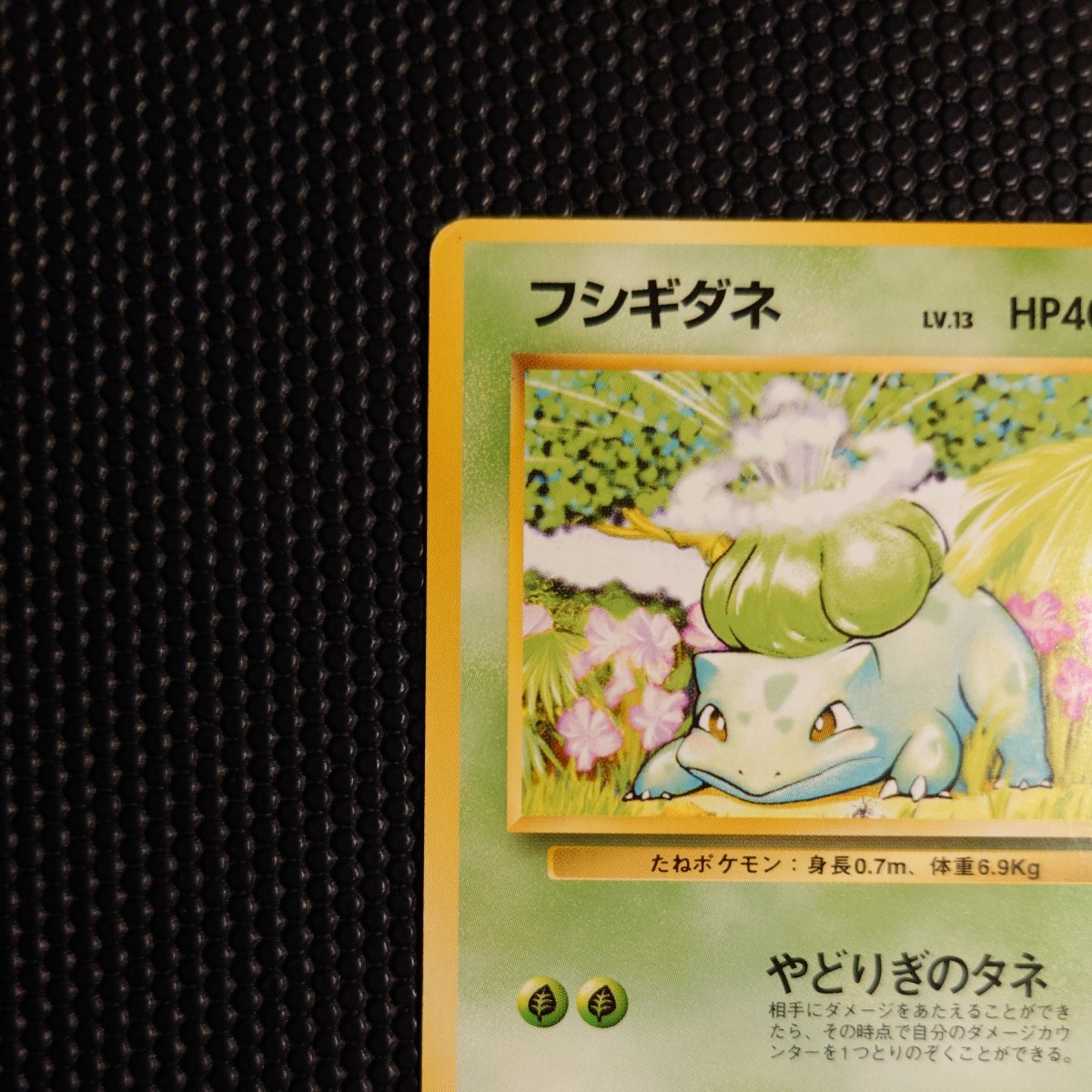 フシギダネ ○ ポケモンカード PMCG 第1弾スターターパック No.001 LV 