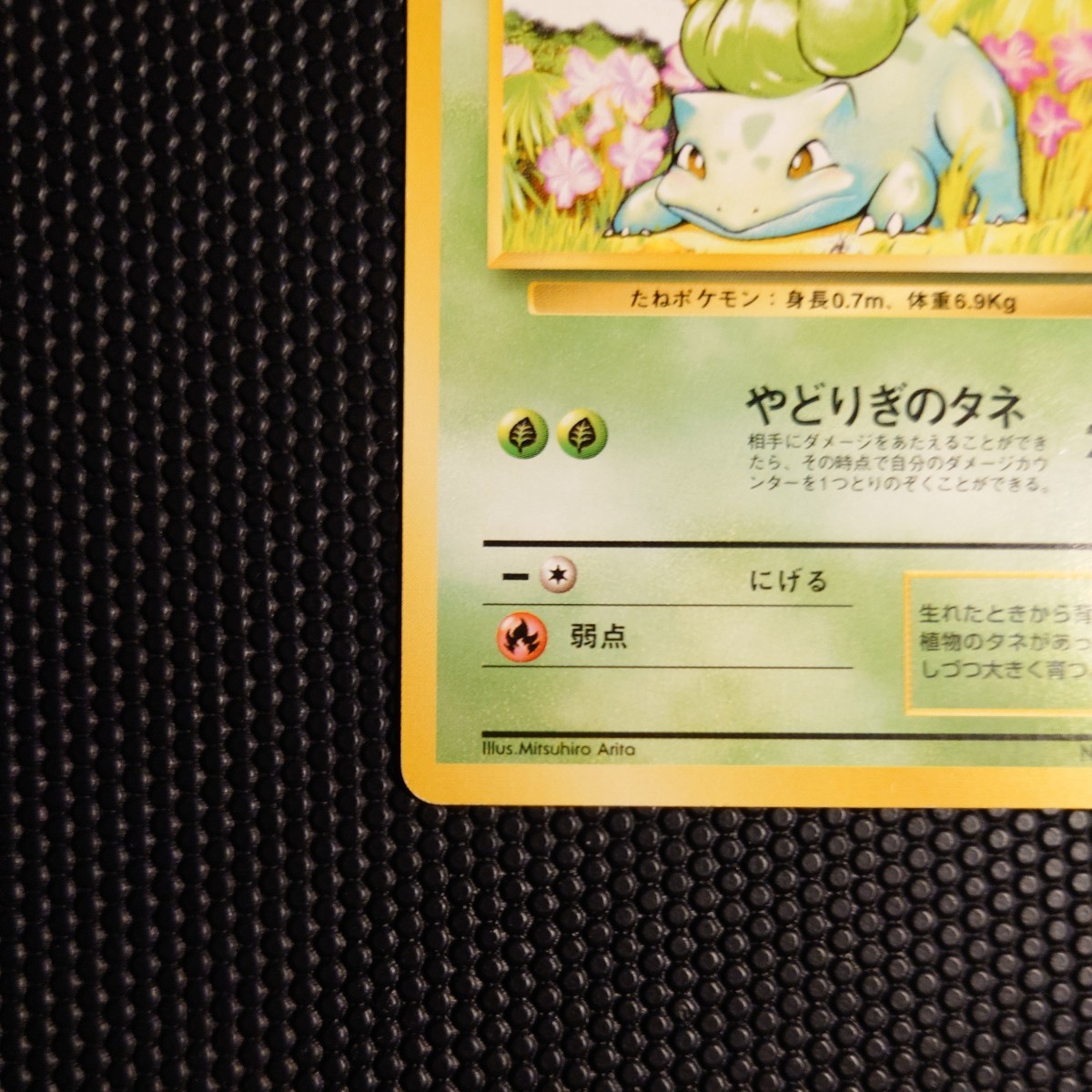 フシギダネ ○ ポケモンカード PMCG 第1弾スターターパック No.001 LV 