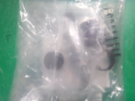 カワサキ　Z750Four（D1）　純正フロントマスターKIT（5/８）　新品