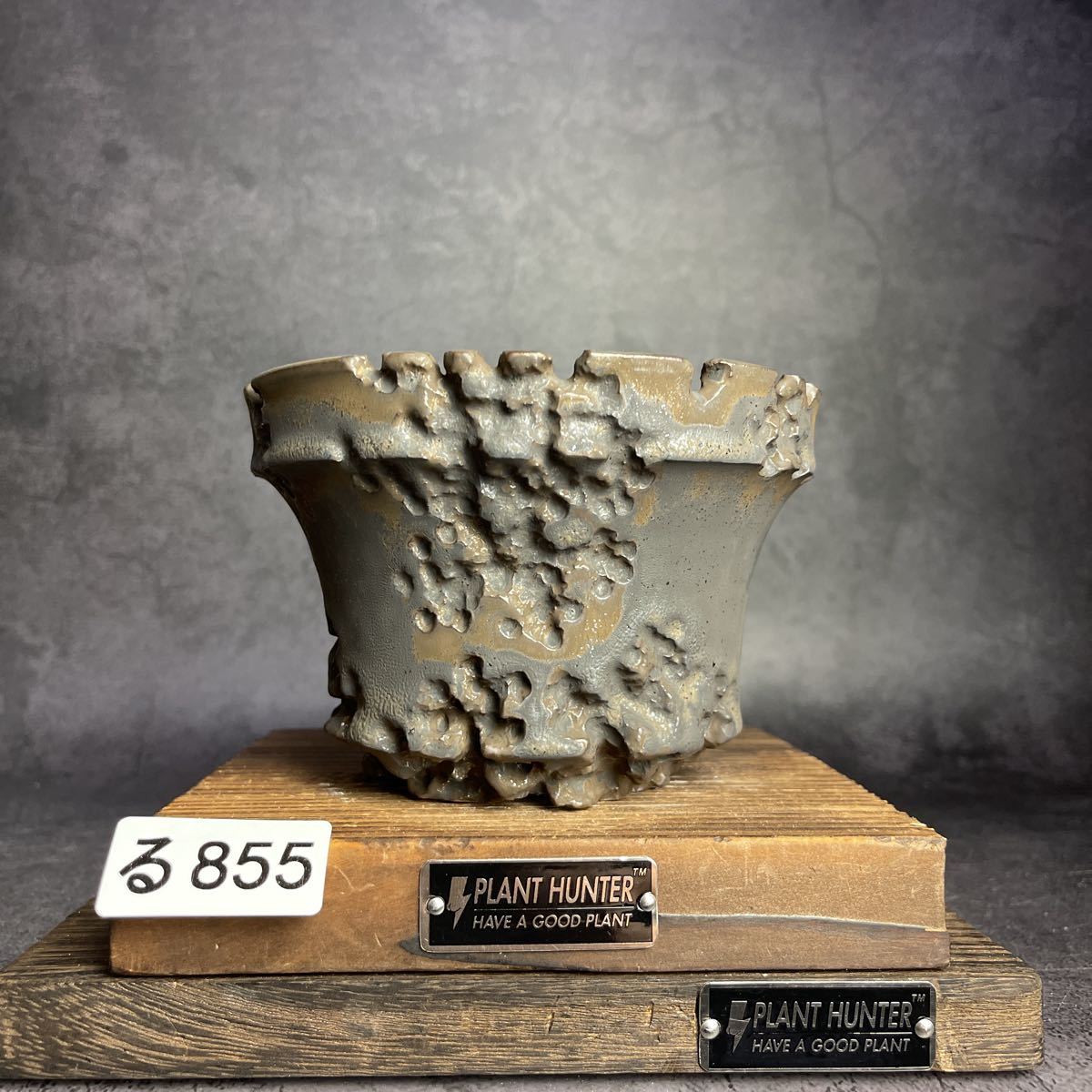 s1078503005.1