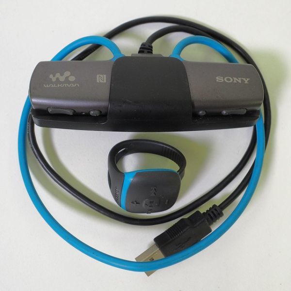 ソニー NW-WS615 ジャンク品 SONY WALKMAN ウォークマン Sony Walkman