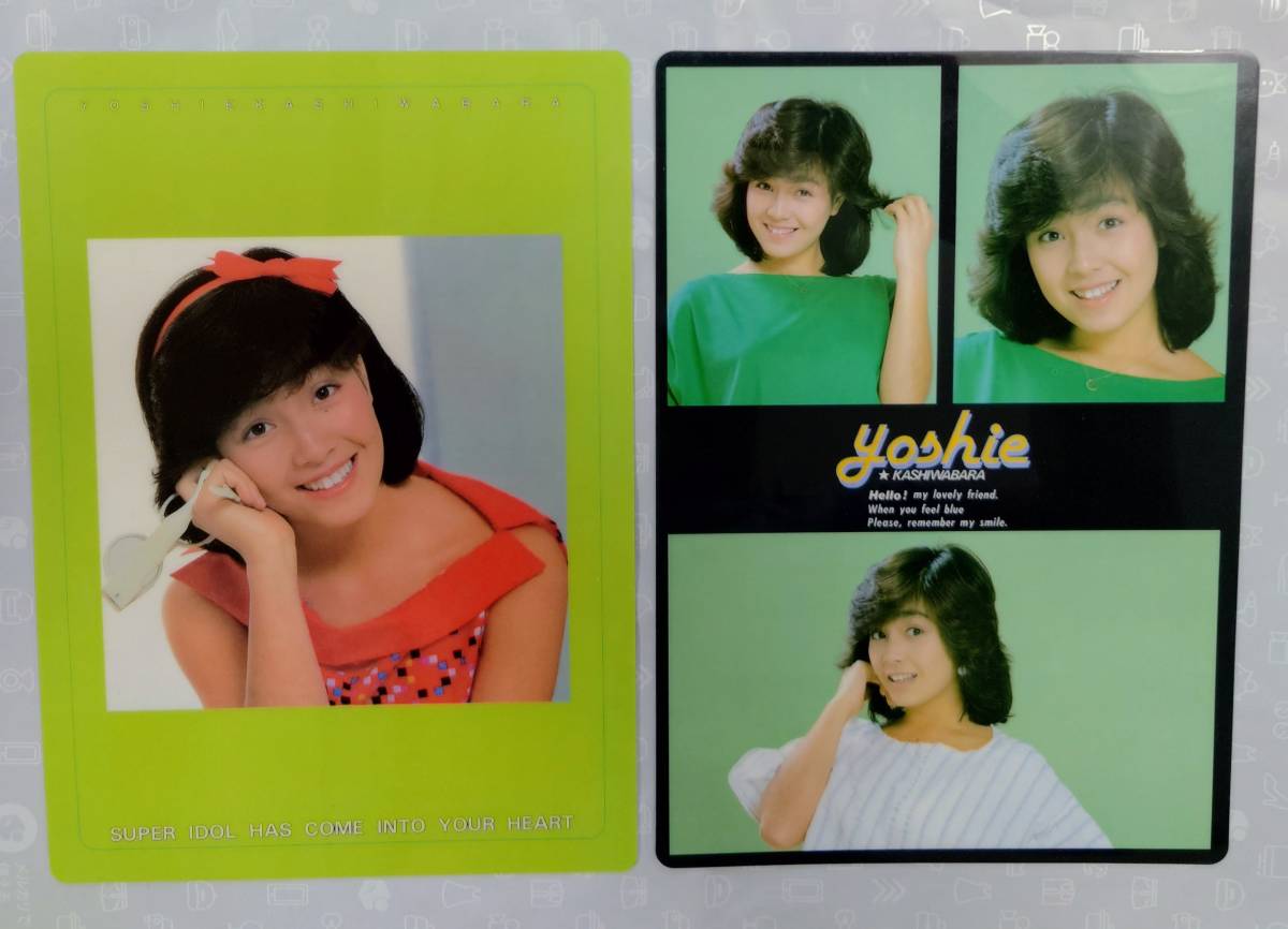 柏原よしえ / 柏原芳恵 写真集+ラミネートカード等set