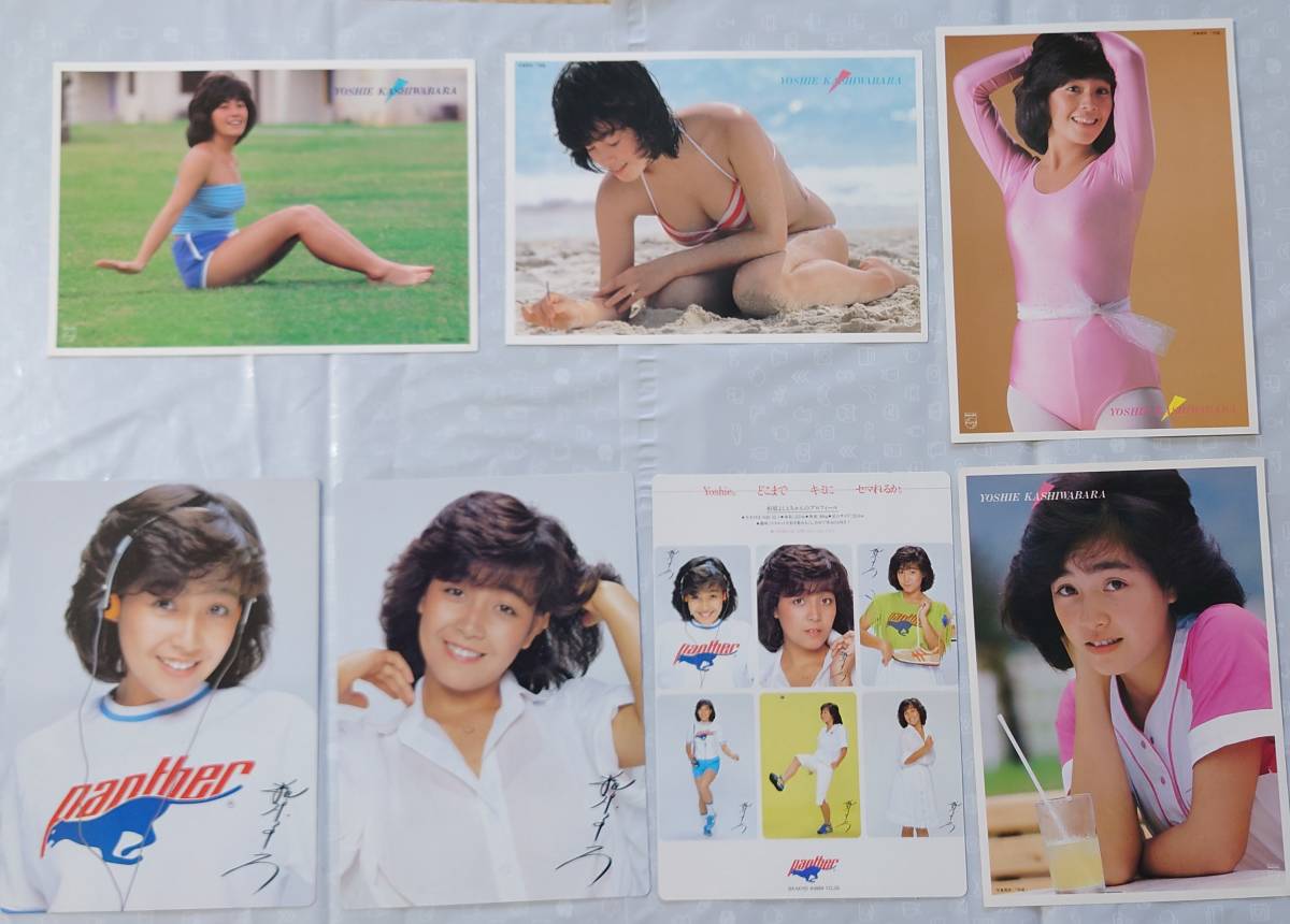 柏原よしえ / 柏原芳恵 写真集+ラミネートカード等set