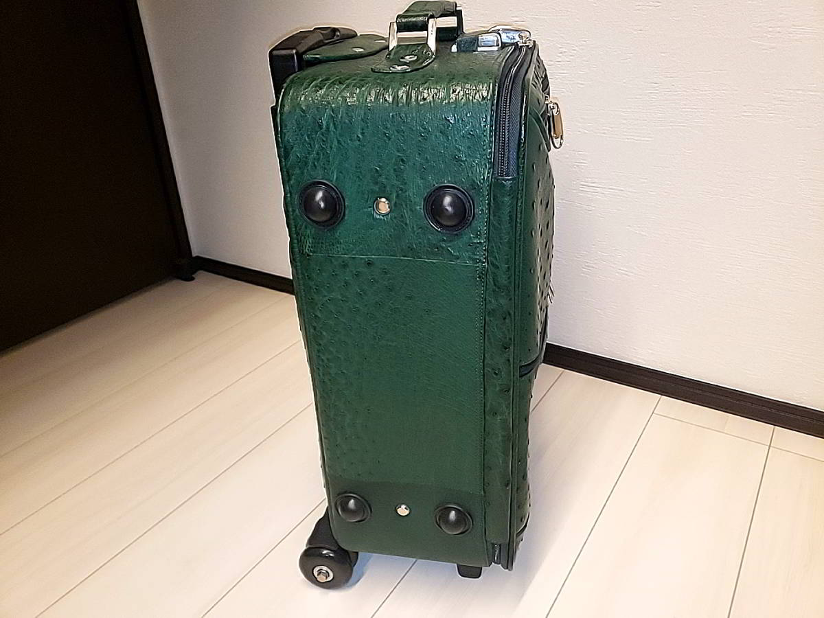 オーストリッチ グリーン 緑 スーツケース キャリーバッグ 機内持込み