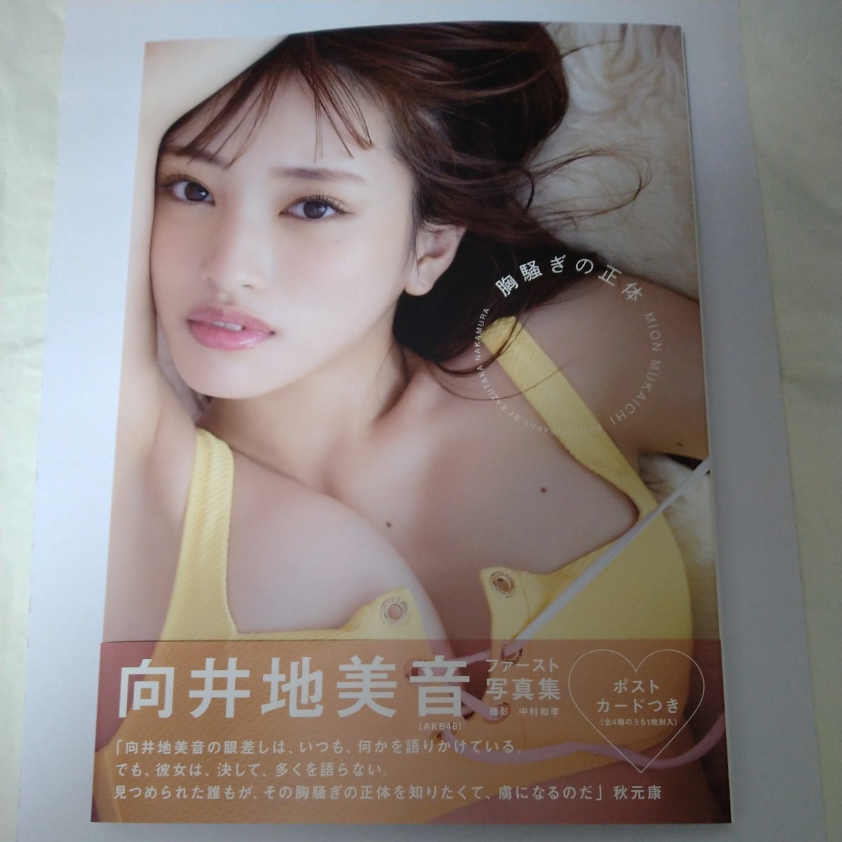 向井地美音 ファースト写真集 『胸騒ぎの正体』（直筆サイン本）