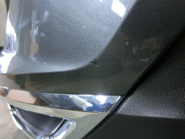 s1100341729.6.jpg