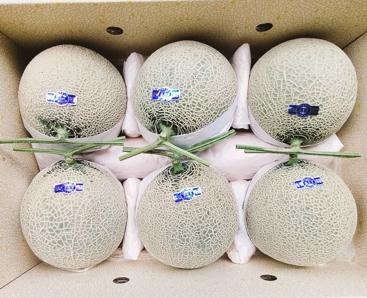☆約8，8kg ☆ 高知産 マスクメロン ☆6玉入 ☆約8，