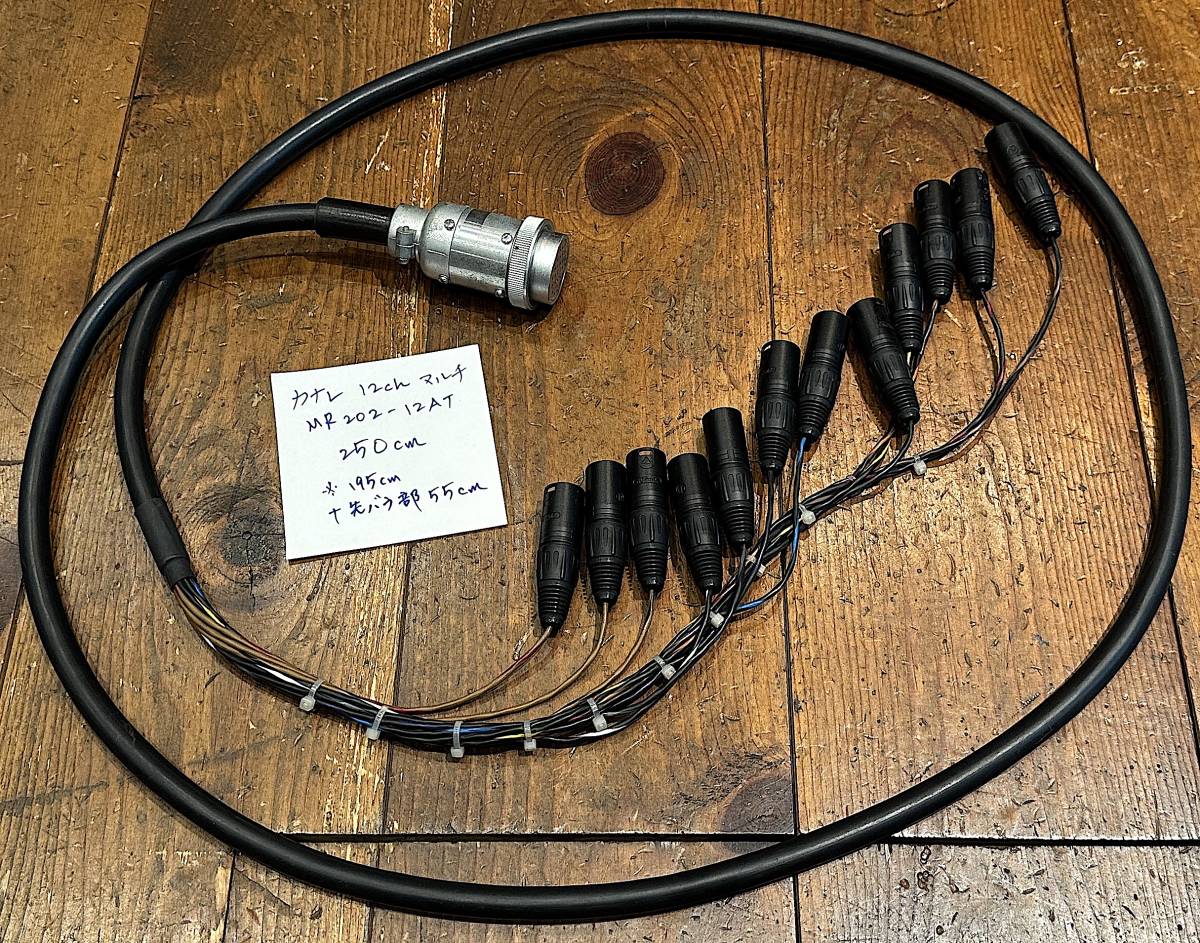 CANARE カナレ CANARE 12ch マルチケーブル セパレートコード 約2m