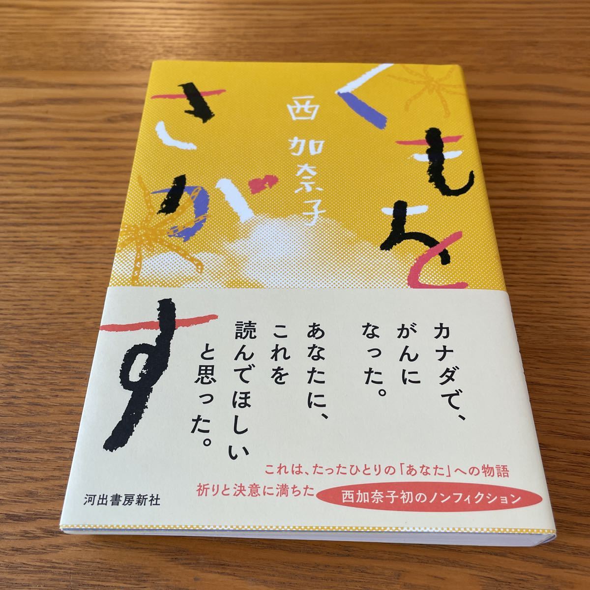 くもをさがす_1