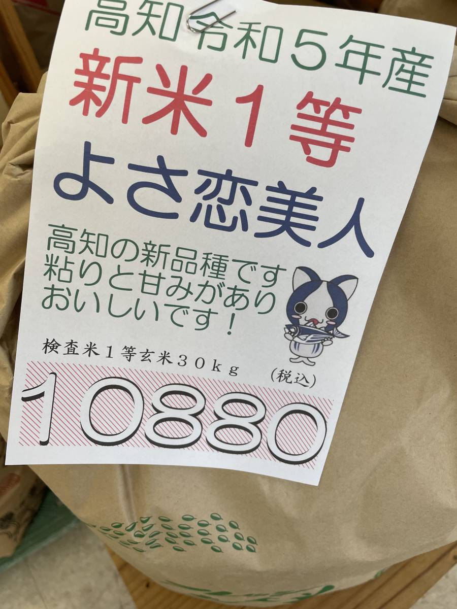 この夏刈りたて2023年新米!令和5年高知県産よさ恋美人 検査米1等玄米