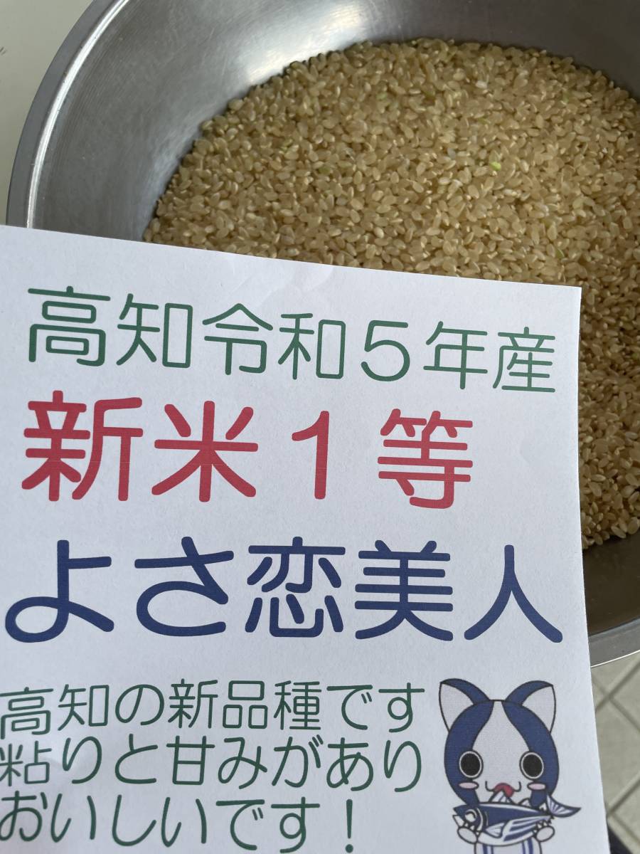 この夏刈りたて2023年新米!令和5年高知県産よさ恋美人 検査米1等玄米