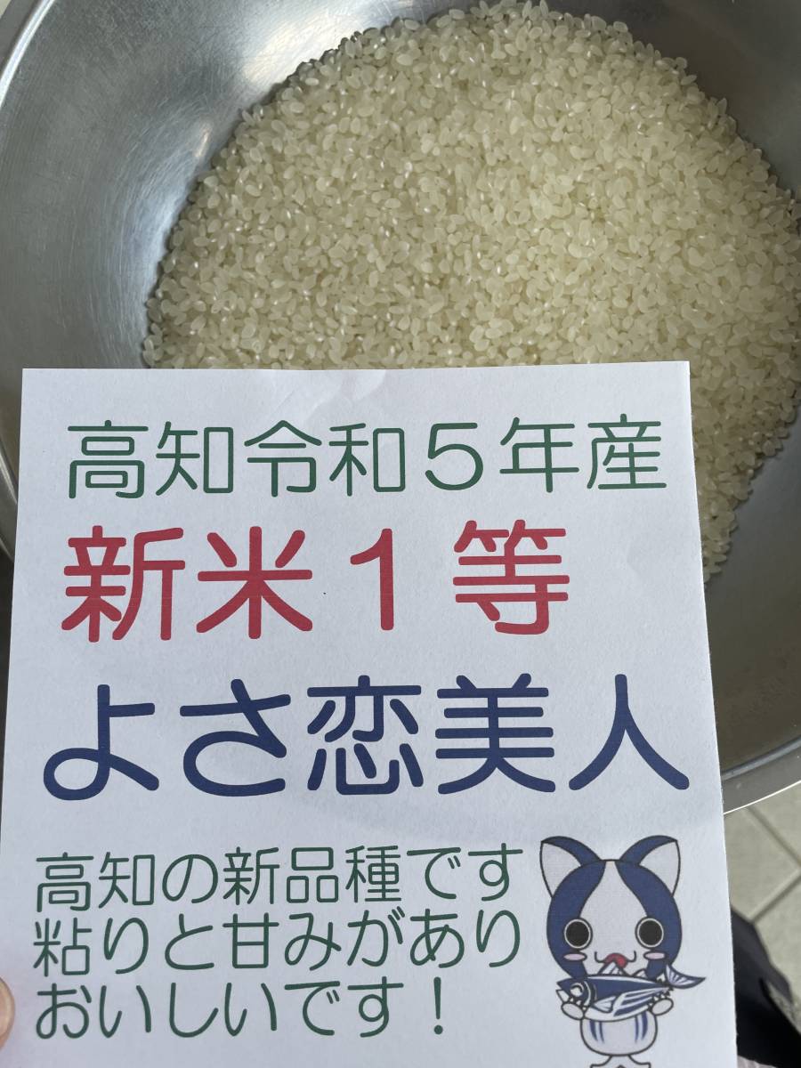 この夏刈りたて2023年新米!令和5年高知県産よさ恋美人 検査米1等玄米