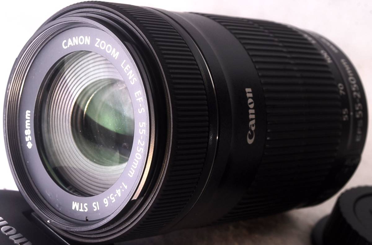 ☆極上美品☆ CANON キャノン EF-S 55-250mm f4-5.6 IS ☆動作OK