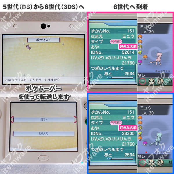 ポケモンサン ミュウ&色違いミュウ 正規エメラルド産 ふるびたかいず