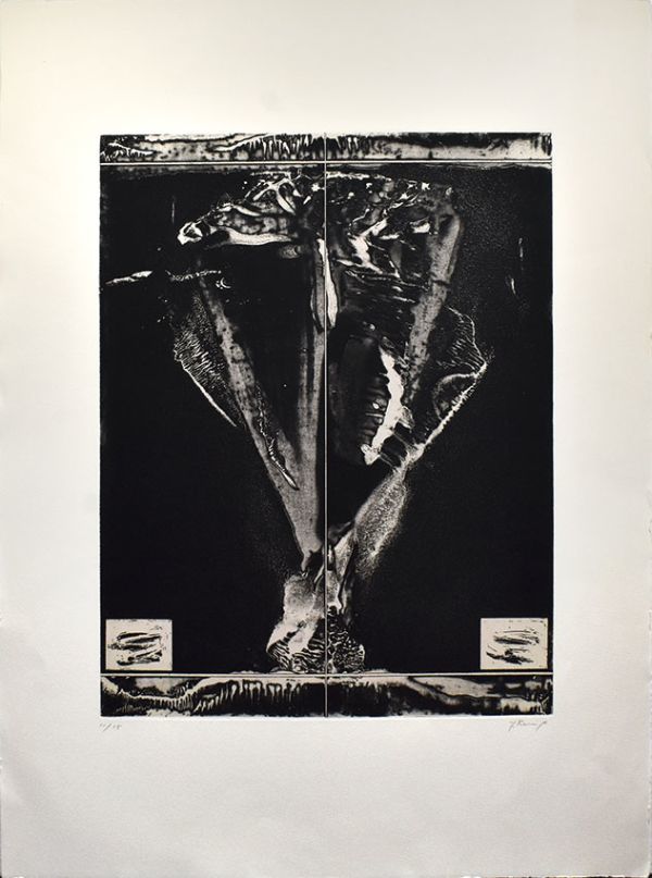 加納光於版画「〈しし座〉　偶有と変容」　インタリオ　限15　サイン　50×39　S:76×56.5　1991-92年　レゾネNo.540　Mitsuo Kano