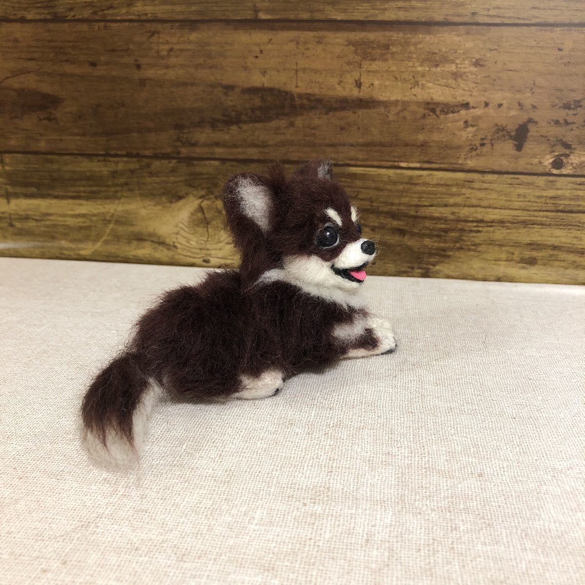 leo&miku 羊毛フェルトチワワチョコタン 犬 ハンドメイド いぬ チワワ