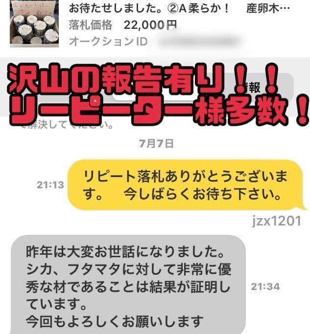 ② クヌギ 柔らか 18本 太さ9〜14cm 長さ約14 cm 椎茸