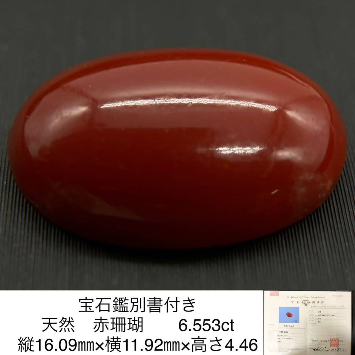 宝石鑑別書付き 天然　赤珊瑚　（　さんご　サンゴ　） 6.553ct 縦16.09㎜×横11.92㎜×高さ4.46 2355S